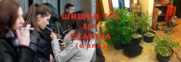 молекула духа Елабуга