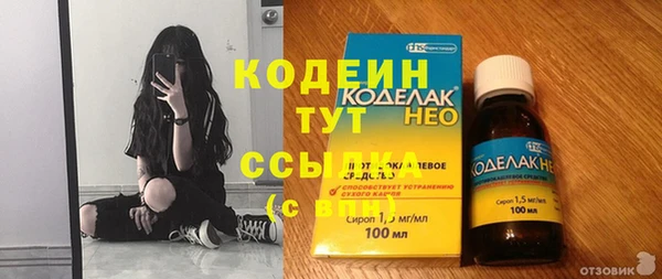 молекула духа Елабуга