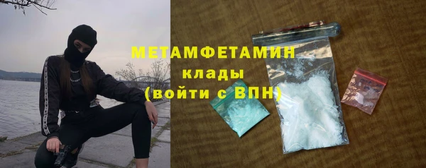 гидра Елизово