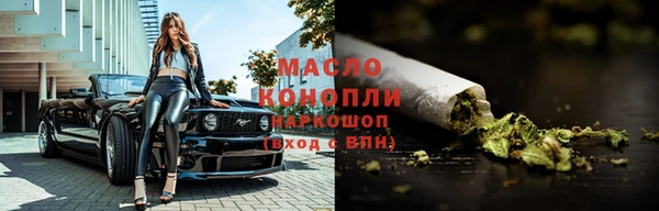 молекула духа Елабуга