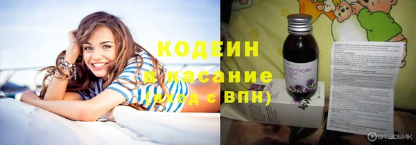 молекула духа Елабуга
