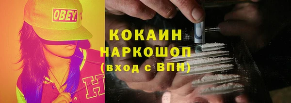 молекула духа Елабуга