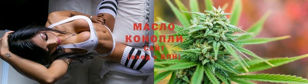 молекула духа Елабуга