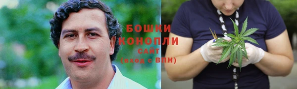 гидра Елизово