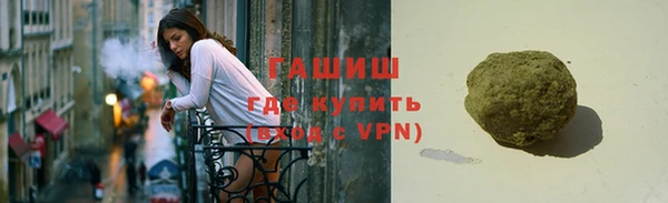 гидра Елизово