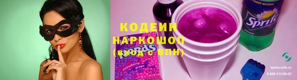 гидра Елизово