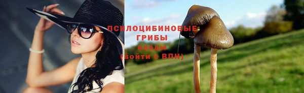 молекула духа Елабуга