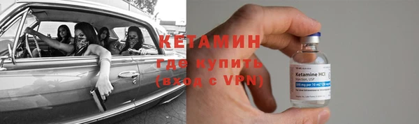 гидра Елизово