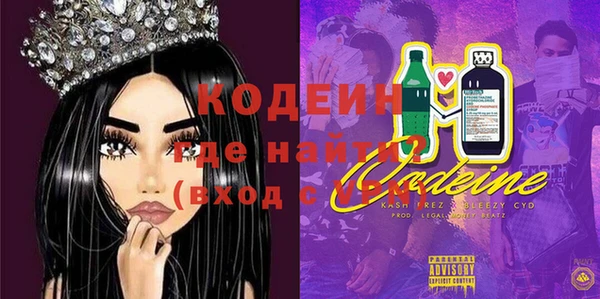 молекула духа Елабуга