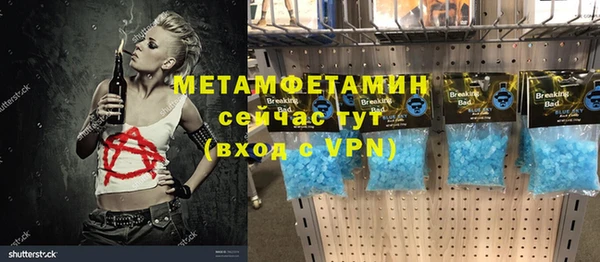 гидра Елизово
