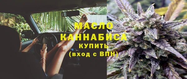 молекула духа Елабуга