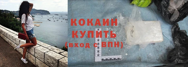 гидра Елизово