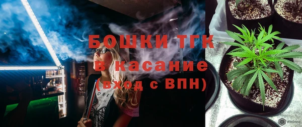 молекула духа Елабуга