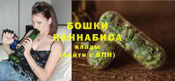 молекула духа Елабуга