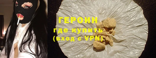 гидра Елизово
