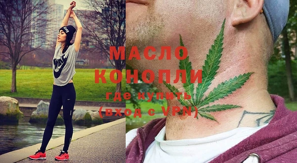 молекула духа Елабуга