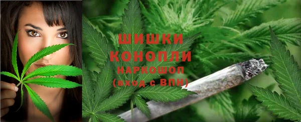гидра Елизово