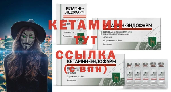 гидра Елизово