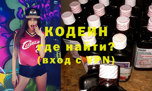 гидра Елизово